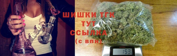 молекула духа Балахна